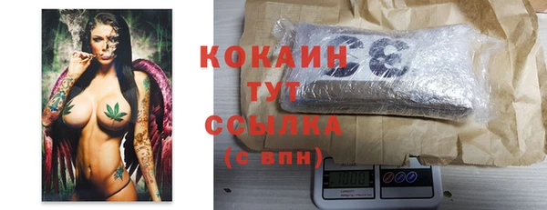 ПСИЛОЦИБИНОВЫЕ ГРИБЫ Видное