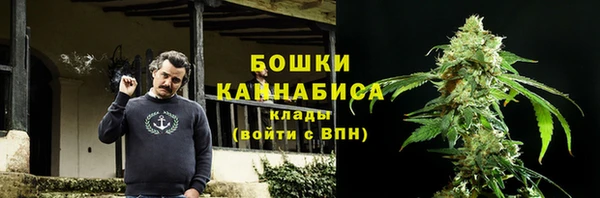 спиды Новодвинск