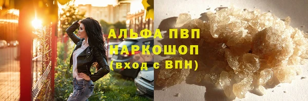 спиды Новодвинск