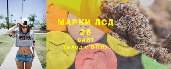 спиды Новодвинск